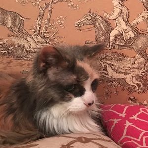 Meet your Posher, Alexandra